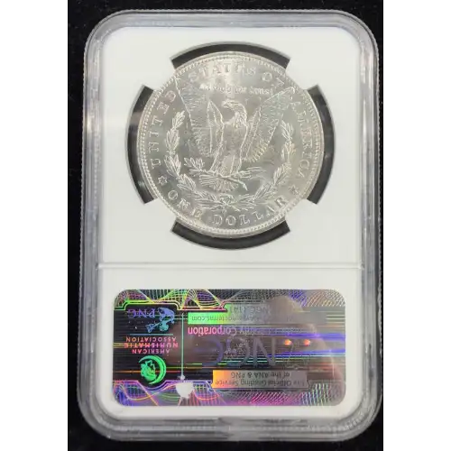 Morgan Silver Dollar (4)