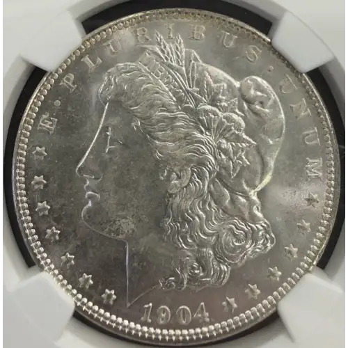 Morgan Silver Dollar