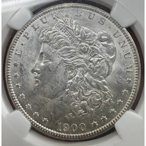 Morgan Silver Dollar (5)