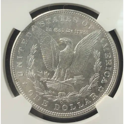 Morgan Silver Dollar (2)