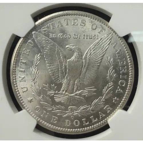 Morgan Silver Dollar (2)