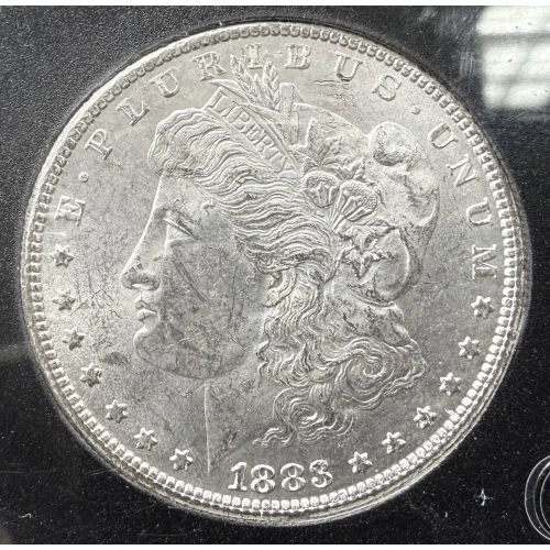 Morgan Silver Dollar (2)