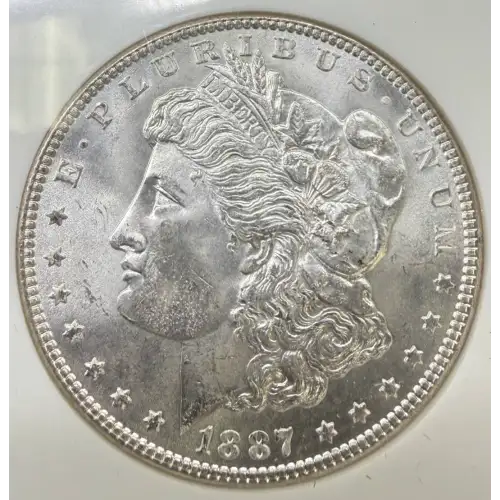 Morgan Silver Dollar (5)