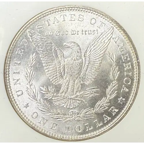 Morgan Silver Dollar (6)