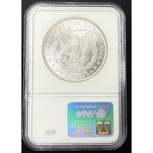 Morgan Silver Dollar (7)