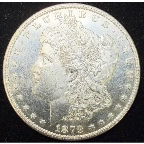 Morgan Silver Dollar (2)