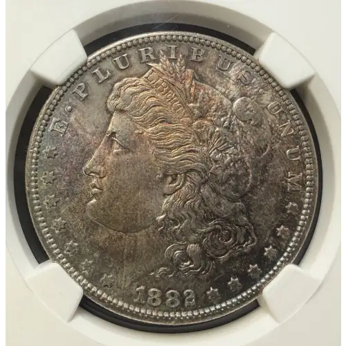 Morgan Silver Dollar (4)