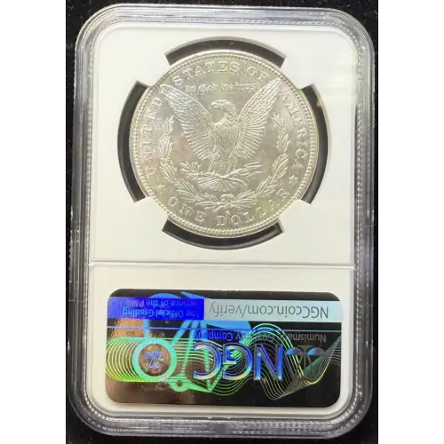 Morgan Silver Dollar (2)
