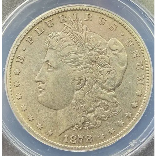 Morgan Silver Dollar (2)
