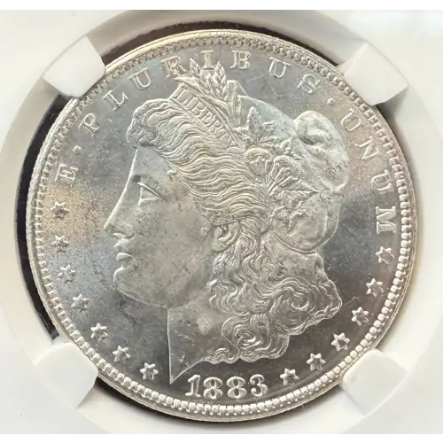 Morgan Silver Dollar (2)