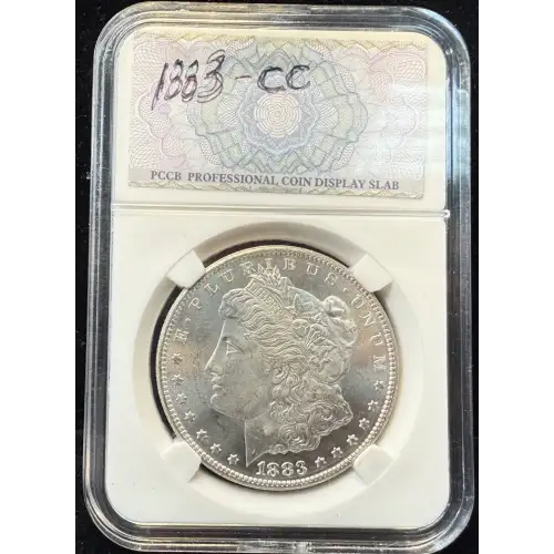 Morgan Silver Dollar (4)