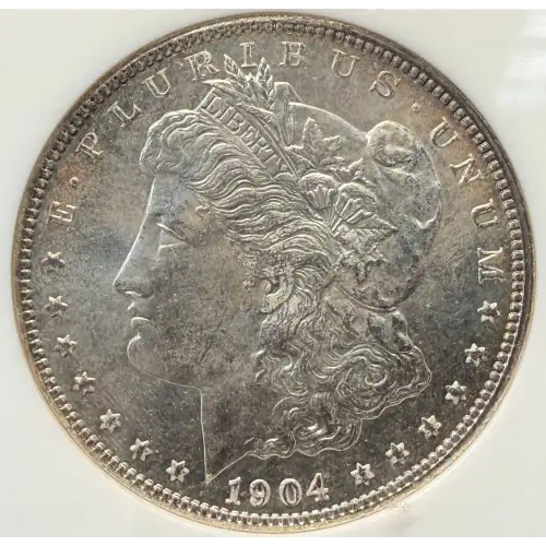 Morgan Silver Dollar (2)