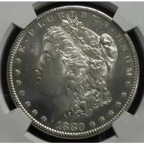 Morgan Silver Dollar (6)