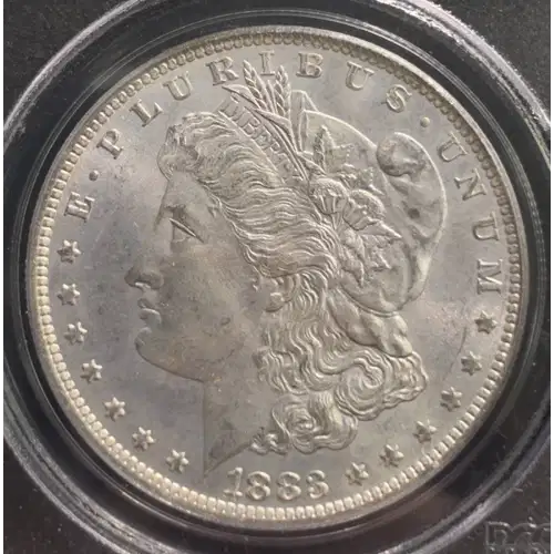 Morgan Silver Dollar (2)