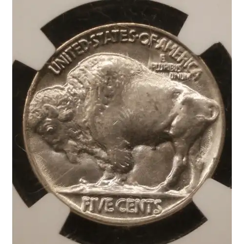 Nickel Five Cent Pieces-Indian Head or Buffalo (2)