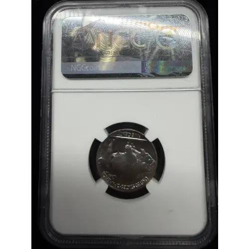 Nickel Five Cent Pieces-Indian Head or Buffalo (4)