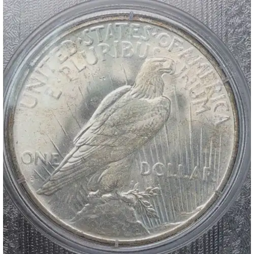 Peace Silver Dollar (3)