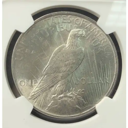 Peace Silver Dollar (6)