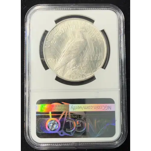 Peace Silver Dollar (7)