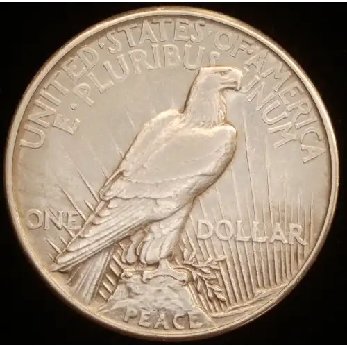 Peace Silver Dollar