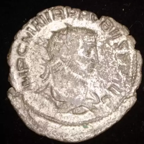 Probus, BI Antoninianus