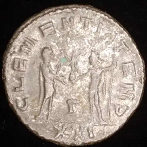 Probus, BI Antoninianus