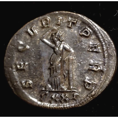 Probus, BI Antoninianus (2)