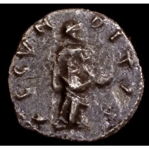 Septimius Severus, AR Denarius