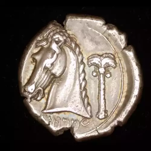 Siculo-Punic, AR Tetradrachm