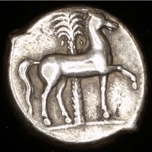 Siculo-Punic, AR Tetradrachm (2)