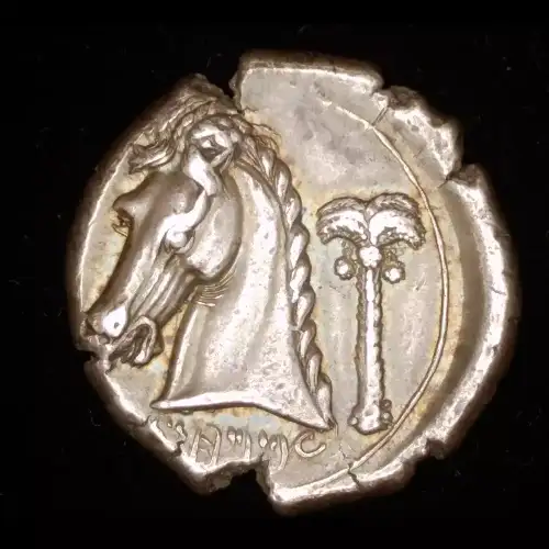 Siculo-Punic, AR Tetradrachm