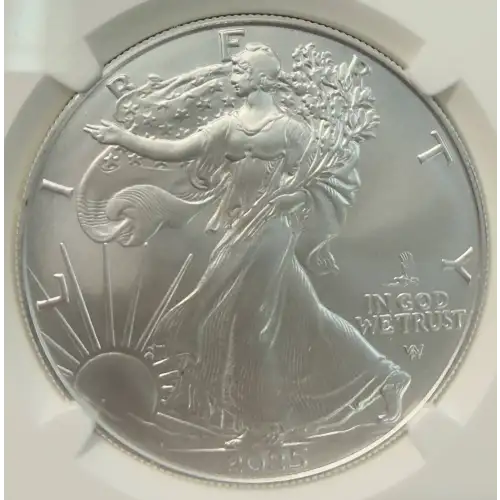 Silver Eagles