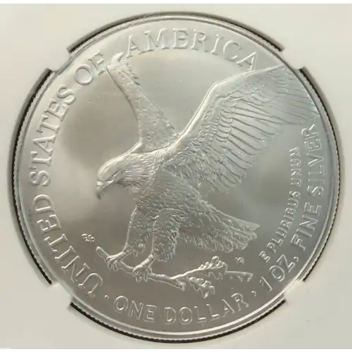 Silver Eagles (3)