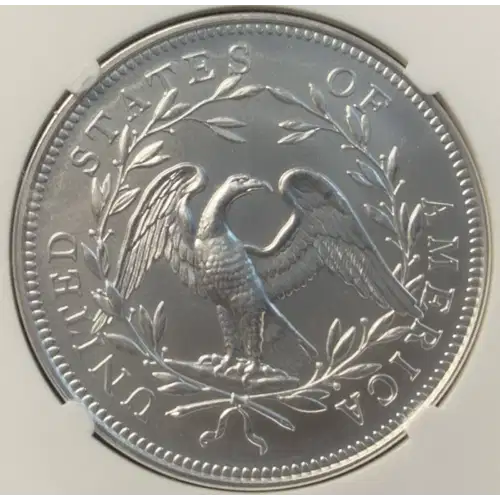 Silver Flowing Hair 230th Anniversary High Relief Medal (3)