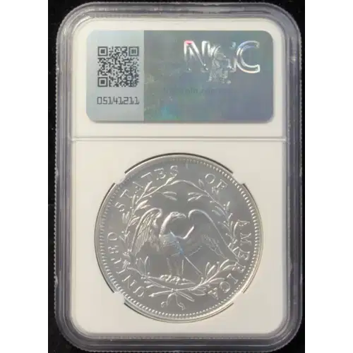 Silver Flowing Hair 230th Anniversary High Relief Medal (2)