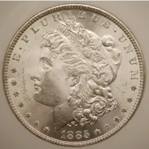 Morgan Silver Dollar