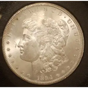Morgan Silver Dollar (2)