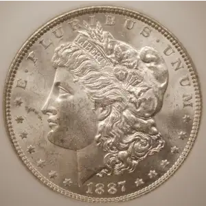 Morgan Silver Dollar (2)