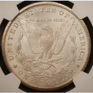Morgan Silver Dollar