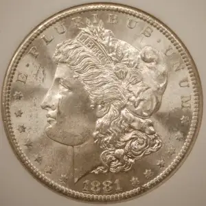 Morgan Silver Dollar (2)