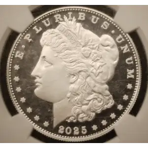 Modern Morgan Dollar (3)