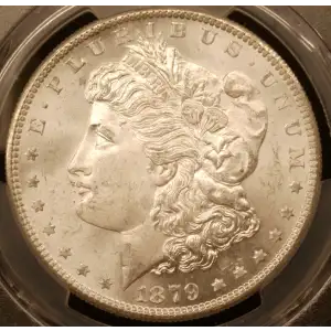 Morgan Silver Dollar (2)