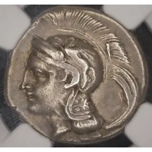 Lucania, Velia, AR Didrachm or Nomos