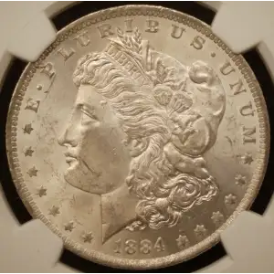 Morgan Silver Dollar (2)