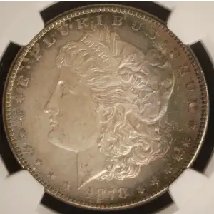 Morgan Silver Dollar (4)