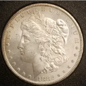 Morgan Silver Dollar