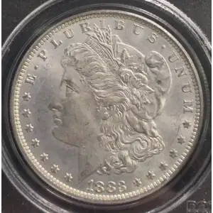 Morgan Silver Dollar (2)