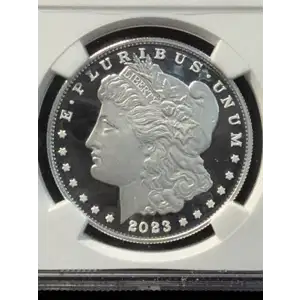 Modern Morgan Dollar (4)