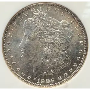 Morgan Silver Dollar (2)