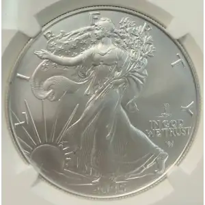 Silver Eagles
